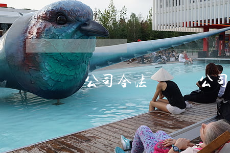 網貸公司合法嗎(網貸公司合法性)