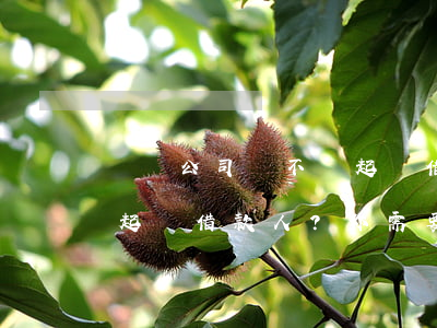 網貸公司會不會起訴借款人，網貸公司是否會起訴借款人？你需要了解的法律知識