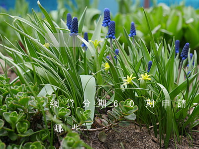 網貸分期60期申請-網貸分60期還得有哪些