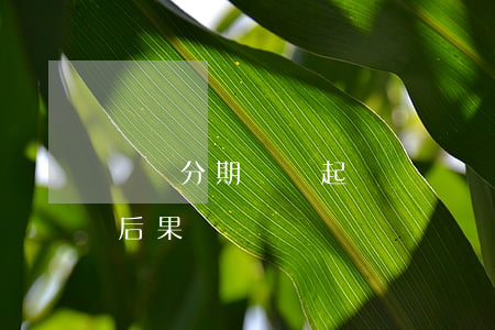 網貸分期樂會起訴嗎 網貸分期樂不還有什么后果
