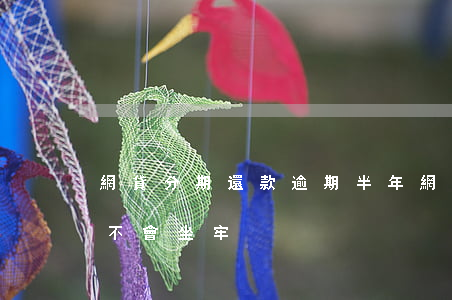 網貸分期還款逾期半年(網貸逾期半年之上,會不會坐牢)
