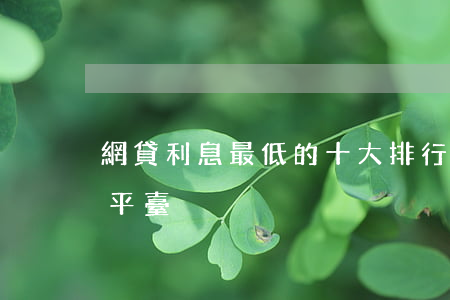 網貸利息最低的十大排行榜（網貸利息最低的平臺）
