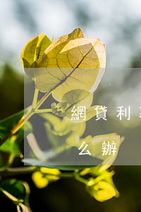 網貸利率高無力償還(網貸利率高無力償還怎么辦)