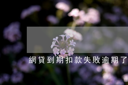 網貸到期扣款失敗逾期了(網貸逾期后果)