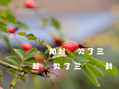 網貸加起來欠了三萬會封銀行卡嘛-網貸加起來欠了三萬會封銀行卡嘛