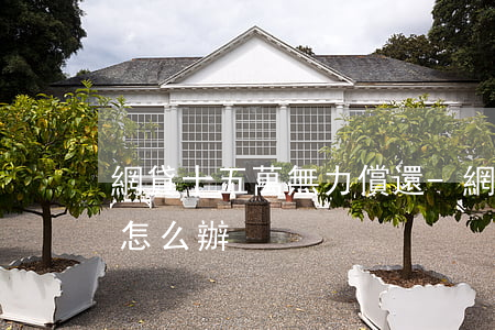 網貸十五萬無力償還-網貸十五萬無力償還怎么辦