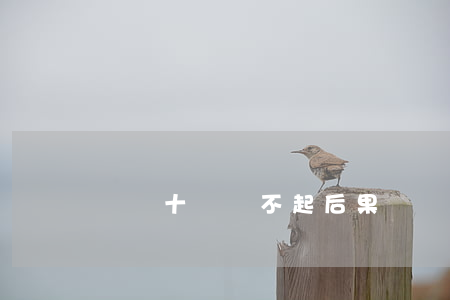 網貸十萬還不起后果