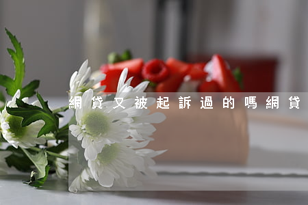 網貸又被起訴過的嗎（網貸又被起訴過的嗎）
