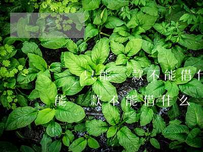 網貸只能還款不能借什么時候恢復-網貸只能還款不能借什么時候恢復額度
