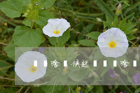 網貸啥時候起訴(網貸啥時候起訴)