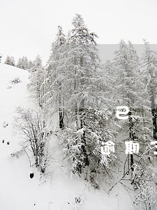 網貸已經逾期了20多天了怎么辦-網貸已經逾期了20多天了怎么辦呢