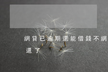 網貸已逾期還能借錢不(網貸逾期多久可以不還了)