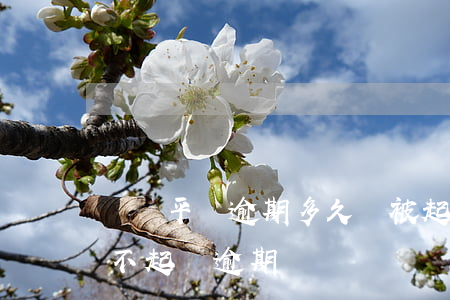 網貸平臺逾期多久會被起訴（網貸平臺為什么不起訴逾期）