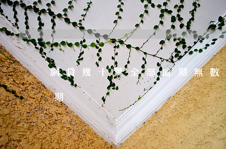 網貸幾十萬全部逾期（無數(shù)網貸逾期）