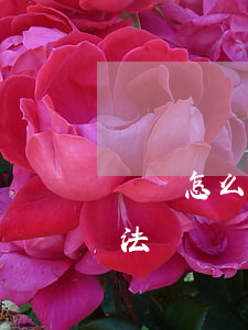 網貸怎么查詢所有欠款(網貸欠20萬自救方法)