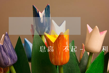 網貸息高還不起-網貸利息高還不起了怎么辦