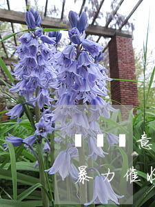 網貸惡意催收還要還錢嗎(如果遇到網貸平臺暴力催收可以不還嗎)