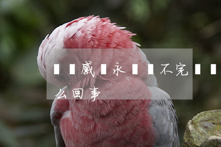 網貸感覺永遠還不完(網貸感覺永遠還不完怎么回事)