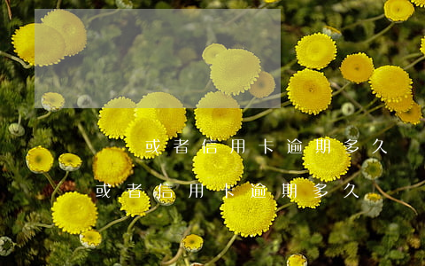 網貸或者信用卡逾期多久會聯系家人-網貸或者信用卡逾期多久會聯系家人電話