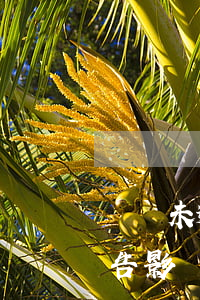 網貸未逾期的征信報告(網貸未逾期的征信報告影響工作嗎)