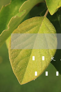 網貸欠1000會被凍結資產嗎(欠網貸會被凍結財產嗎)
