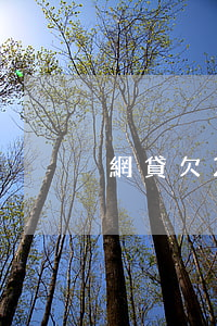 網貸欠20萬自救方法（目前借錢最好的平臺）