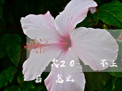 網貸欠20萬還不上了(欠20萬網貸不還最后會怎么樣)