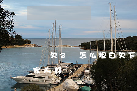 網貸欠2萬怎么坦白(欠下兩萬網貸怎么坦白家人好)