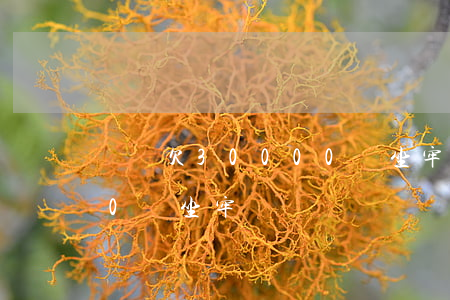 網貸欠30000會坐牢嗎(網貸欠30000會坐牢嗎)
