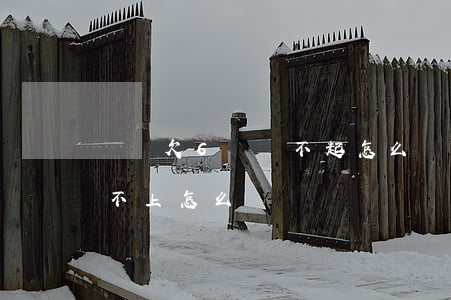 網貸欠6萬還不起怎么辦(欠了五六萬網貸還不上怎么辦)