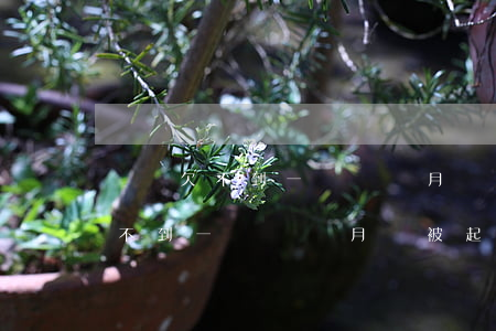 網貸欠不到一萬幾個月會被起訴嗎-網貸欠不到一萬幾個月會被起訴嗎知乎