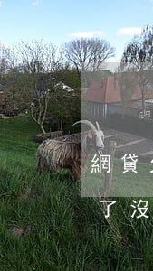 網貸欠了2年沒還會扣錢嗎(網貸欠了一年多了沒還上怎么辦)