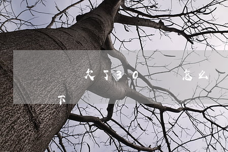 網貸欠了30萬該怎么還(網貸30萬還能貸下嗎)