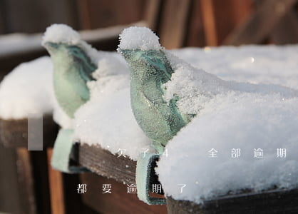 網貸欠了4萬全部逾期(網貸欠了16萬現在都要逾期了)