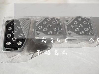 網貸欠了56萬還不起了咋辦(欠網貸五萬多還不起怎么辦)