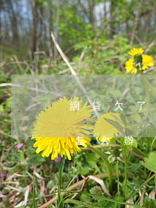 網貸欠了一萬多需要如何辦(欠網貸一萬五該怎么辦)