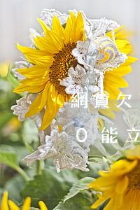 網貸欠了五百多可以立案嗎(網貸欠款5000能立案嗎?)