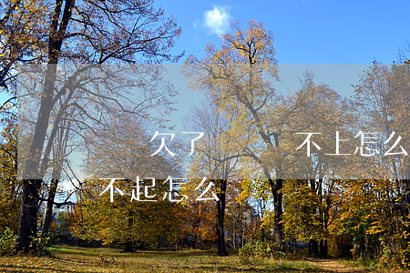網貸欠了幾萬還不上怎么辦(網貸欠很多錢還不起怎么辦?)