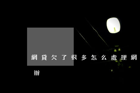 網貸欠了很多怎么處理(網貸欠債太多了怎么辦)