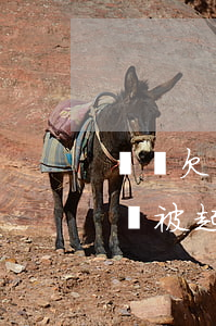 網貸欠兩千多塊錢會被起訴嗎(欠網貸2千多會被起訴嗎)