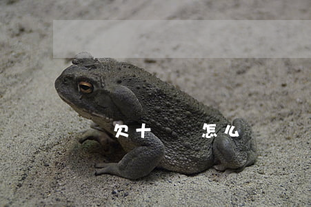 網貸欠十幾萬怎么還(網貸欠了十多萬怎么辦)