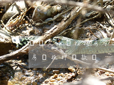 網貸欠十萬按揭房可以二押嗎(有網貸還可以房產抵押貸款嗎)