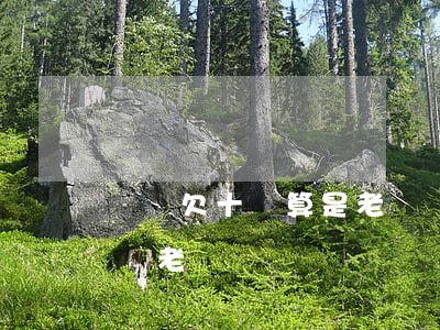 網貸欠十萬算是老賴嗎(欠1000網貸能成為老賴嗎)