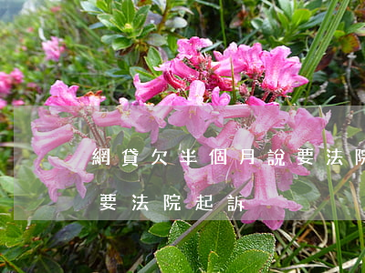 網貸欠半個月說要法院起訴(網貸欠半個月說要法院起訴)