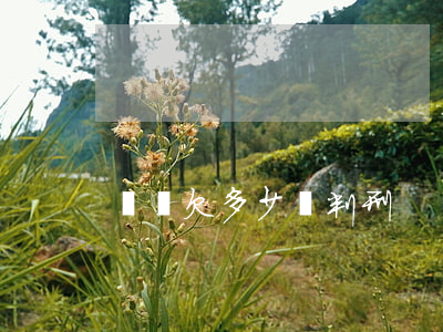 網貸欠多少會判刑