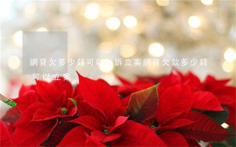 網貸欠多少錢可以起訴立案(網貸欠款多少錢可以立案)