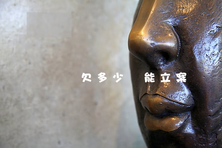 網貸欠多少錢能立案嗎(網貸多少錢會立案)