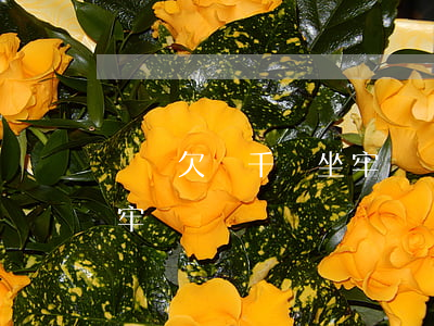 網貸欠幾千會坐牢嗎(網貸欠幾十萬會不會坐牢)