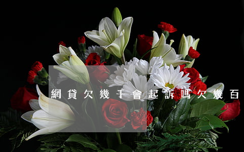 網貸欠幾千 會起訴嗎(欠幾百網貸會被起訴嗎)