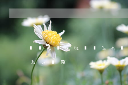 網貸欠幾千被訴訟怎么辦(網貸欠幾千被訴訟怎么辦理)